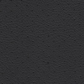 Perforations MK 9 Porsche