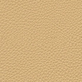 Boxmark Mondial Sahara