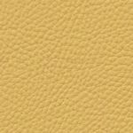 Boxmark Mondial Broom Yellow