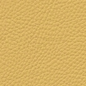 Boxmark Mondial Broom Yellow
