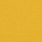 Boxmark Royal Yellow