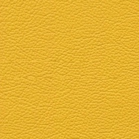 Boxmark Royal Yellow