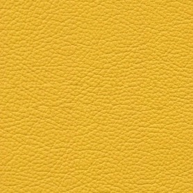 Boxmark Royal Yellow