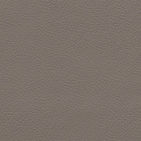 Standard Beige Grey
