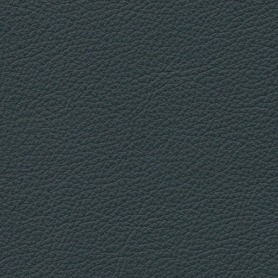 Standard Blue Green
