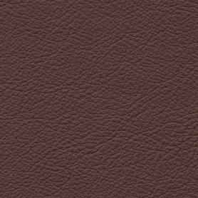 Standard Cocoa
