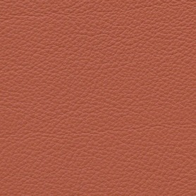 Standard Coral Red