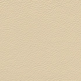 Standard Cream