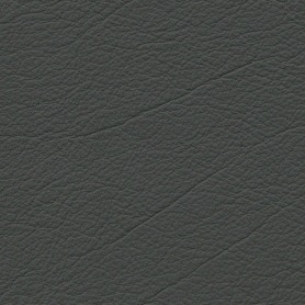 Standard Dark Green