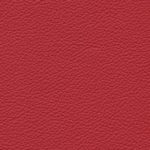 Standard Fire Red
