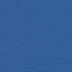 Standard Light Blue