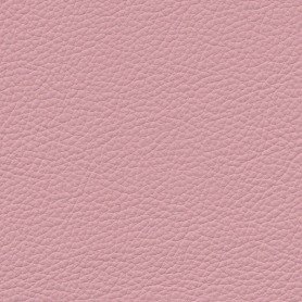 Standard Light Pink