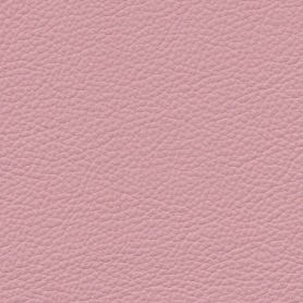 Standard Light Pink