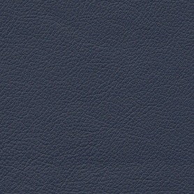 Standard Ocean