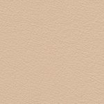 Standard Sand Beige