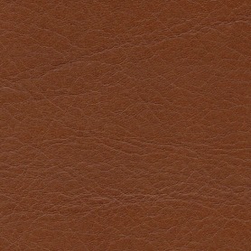 Anilin H leather