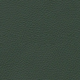 Royal RT2 Protect 69140 Bali