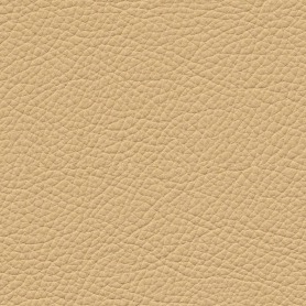 Royal RT2 Protect 29160 Corfu