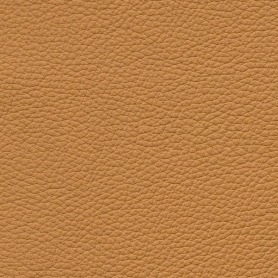 Royal RT2 Protect 89180 Crete