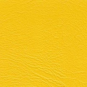 Lady Vinyl Lemonade