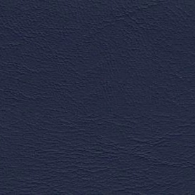 Lady Vinyl Royal Blue