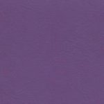 Lady Vinyl Violet