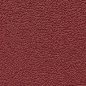 Royal RT2 Protect 39165 Martinique