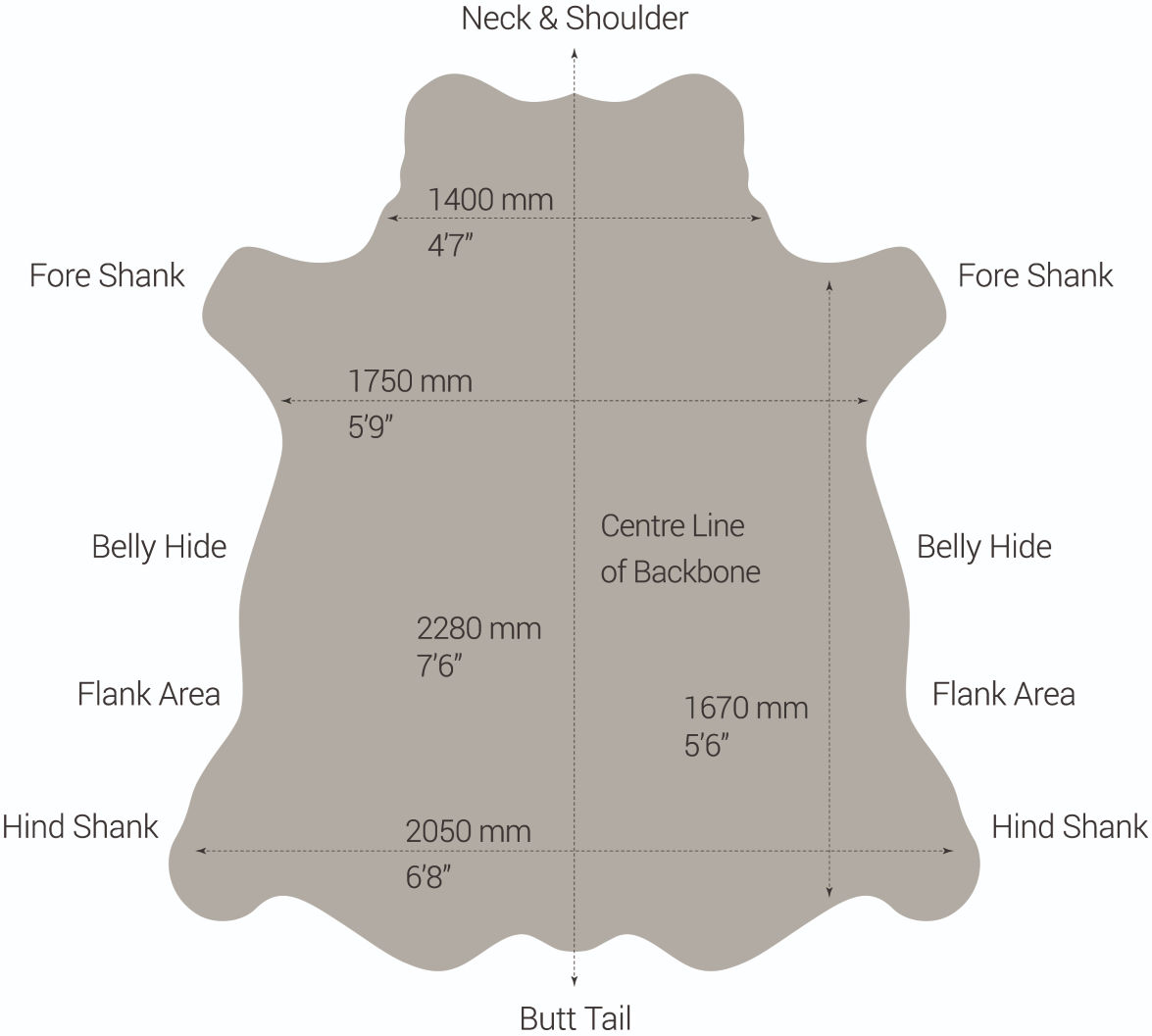 leather hide diagram - parts of hide