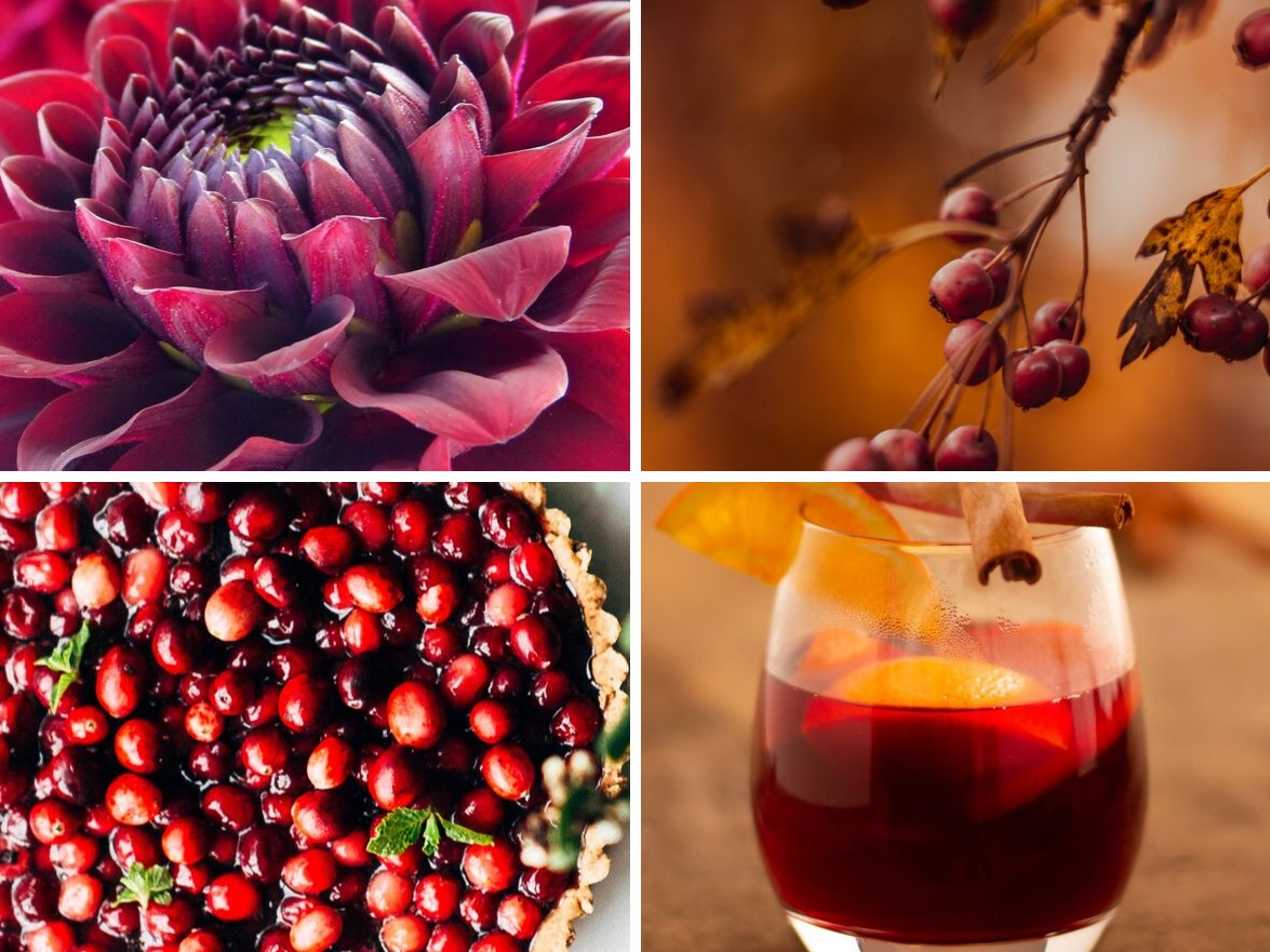 Wine and berry inspiration