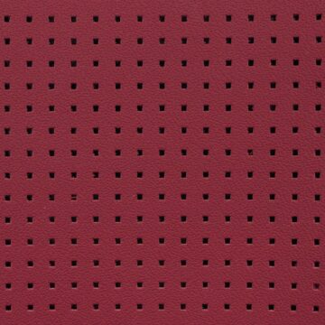 C5 AMG Perforations
