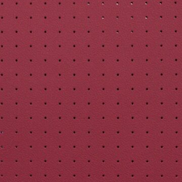 P2 perforations on automotive leather