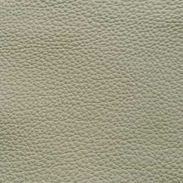 Textured upholstery leather