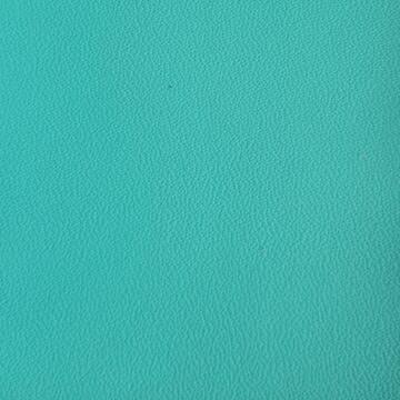 Automotive prima nappa car leather