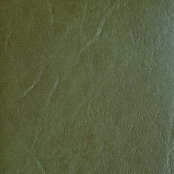 Basis W107 Faux leather vinyl automotive