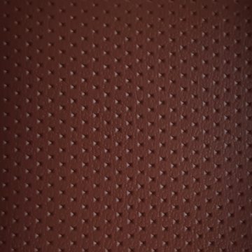 Basis W107 vinyl PM Sternchen embossed automotive