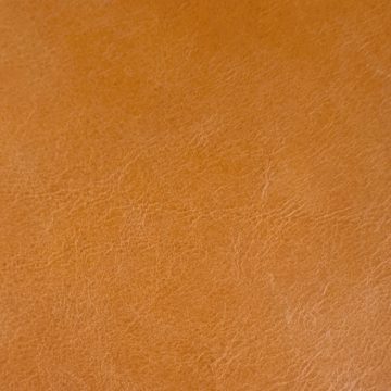 Biodegradable dyed through upholstery leather
