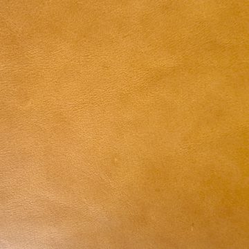 Biodegradable dyed through upholstery leather