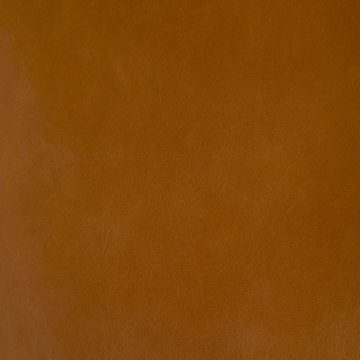 Biodegradable dyed through upholstery leather
