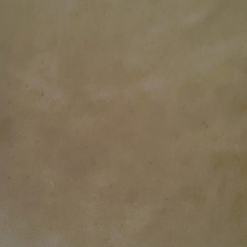 Biodegradable dyed through upholstery leather