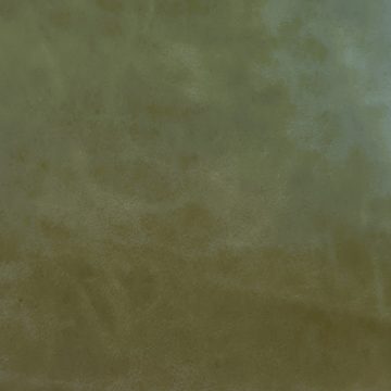 Biodegradable dyed through upholstery leather